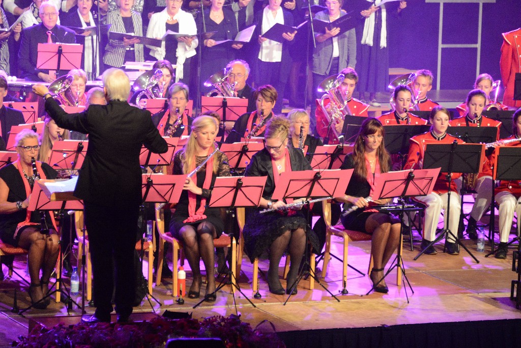 ../Images/Jubileumconcert 100 jaar Harpe Davids 024.jpg